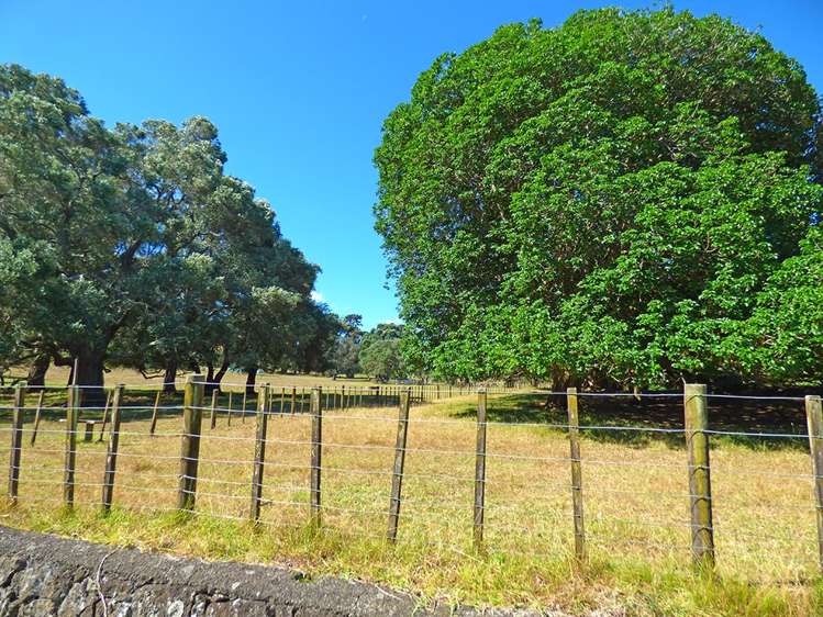 3/30 Turama Road Royal Oak_16