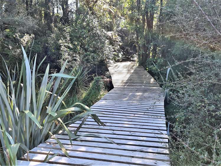 459 Utopia Road Westport_22