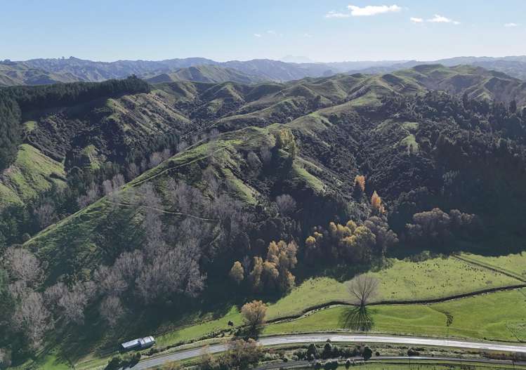 5679 State Highway 1 Mangaweka_8