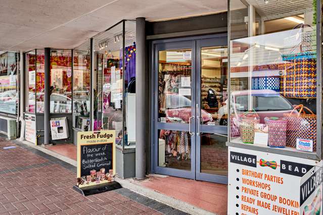 129 Jackson Street Petone_1