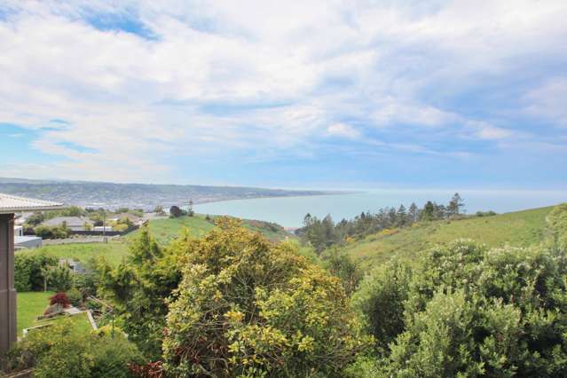 26 Brinkburn Street Oamaru_2