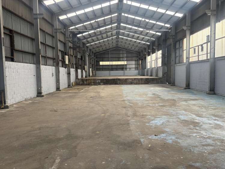 589 Rosebank Road Avondale_9