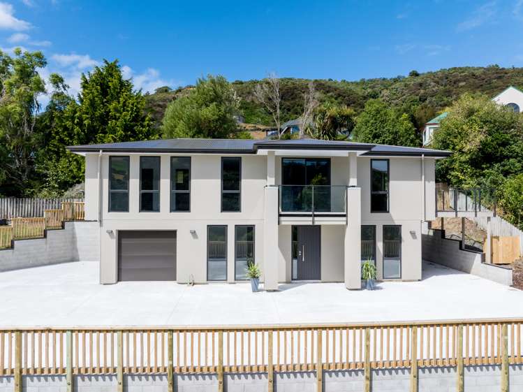 540 North Road Normanby_5