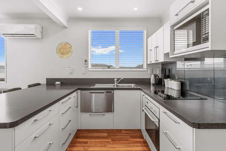 6B Hereford Street Roslyn_10