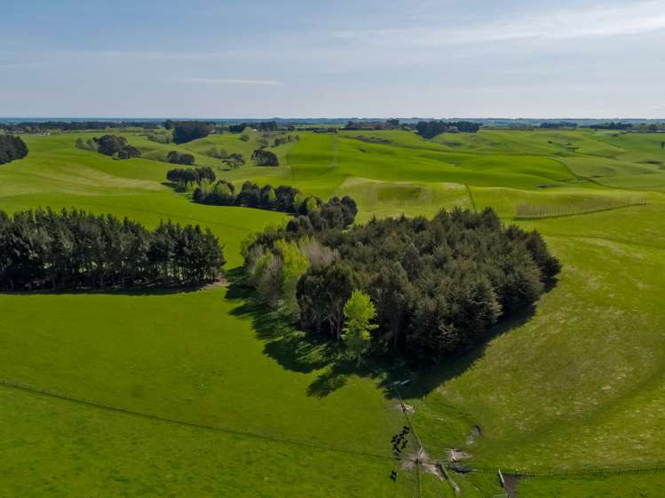 154 Te Rakehou Road Feilding_9