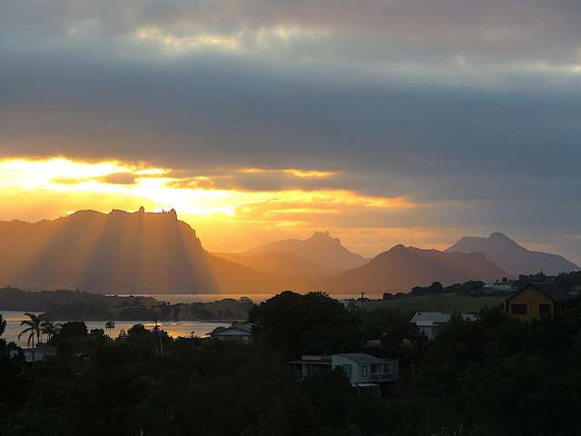 Coastal Serenity Among the Treetops