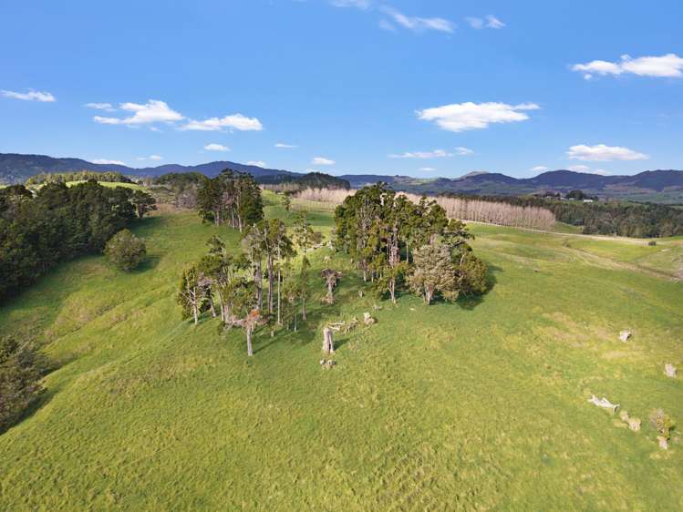 / Lot 13 Gorge Road Maungaturoto_8