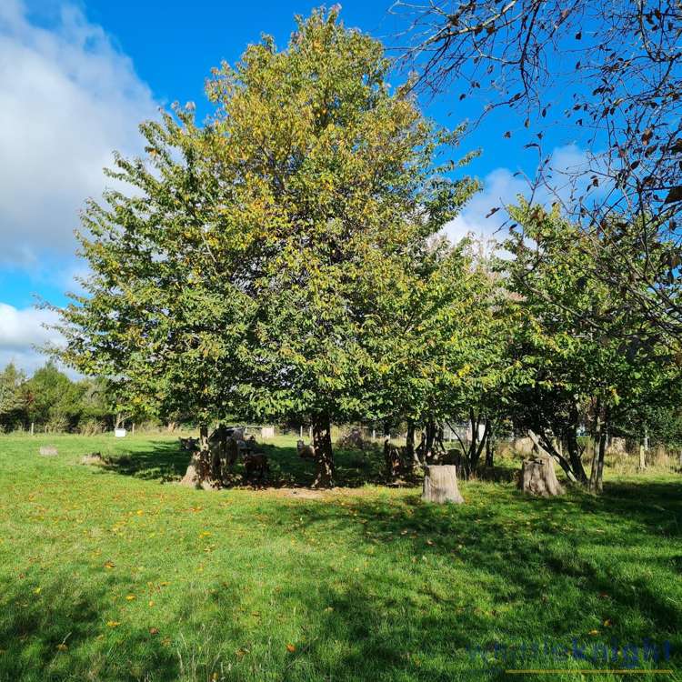 721 Mclaughlins Road Darfield_17