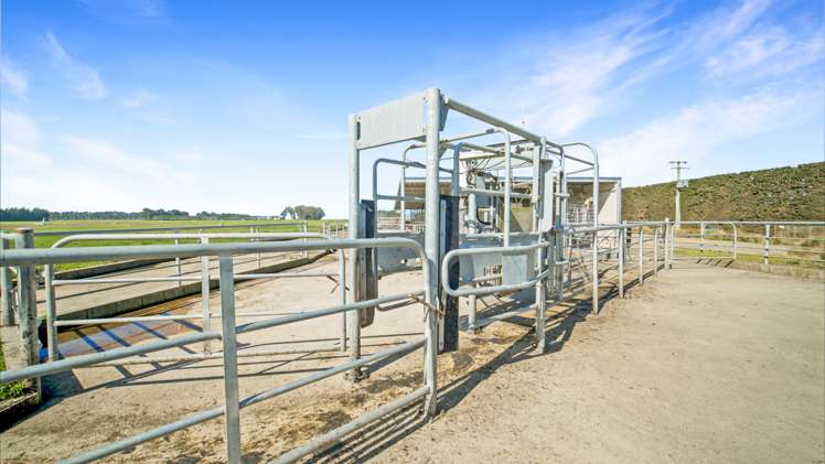 120 Steward Road Richmond_8