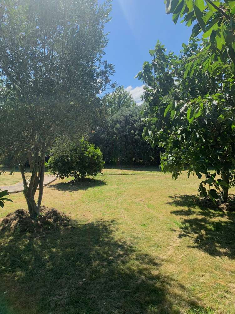 7 Frederick Street Spring Creek_18