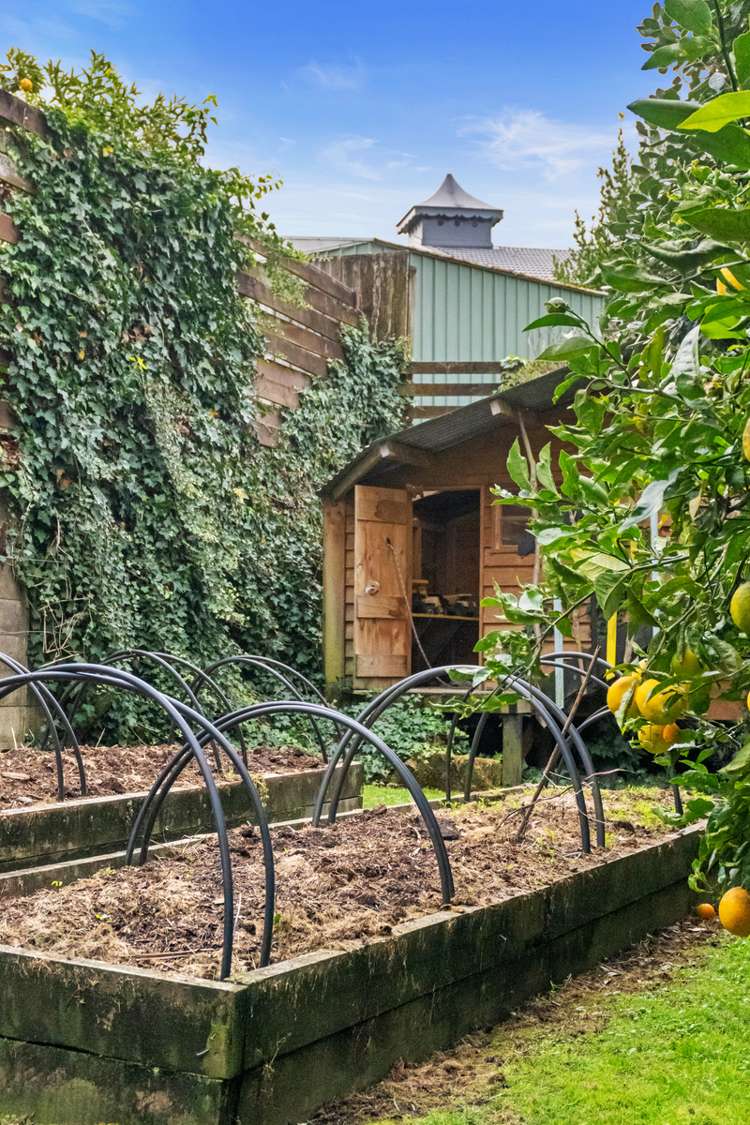 139a Boucher Avenue Te Puke_29