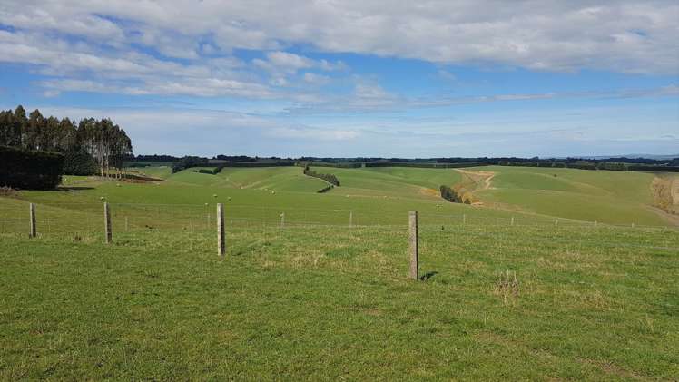 161 Roulston Road Balclutha_14