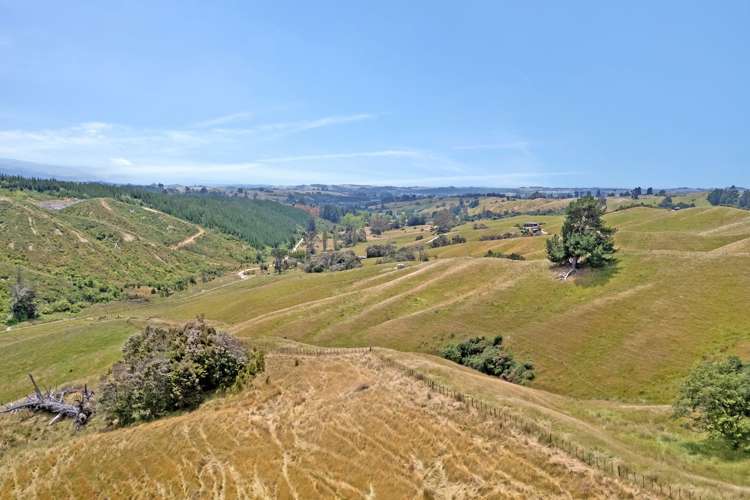 135 Bensemann Road Upper Moutere_27