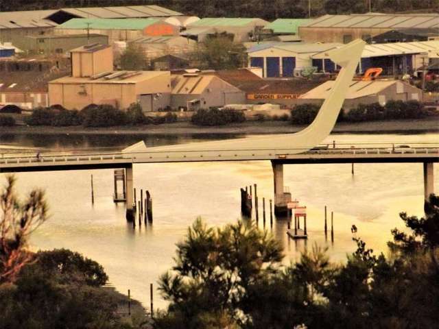 35 Punga Grove Avenue Riverside_3