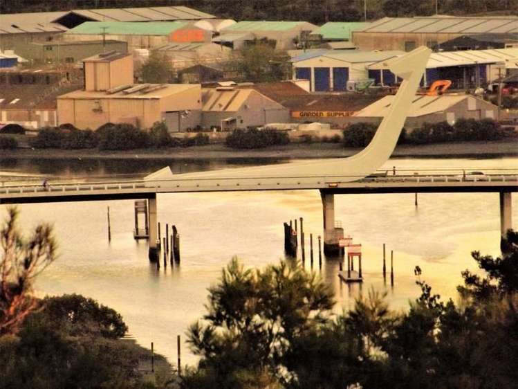 35 Punga Grove Avenue Riverside_3