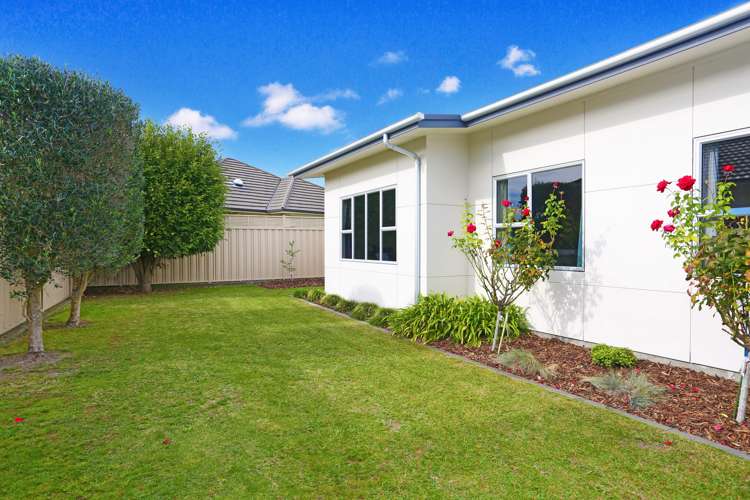 4 Scott Place Havelock North_13