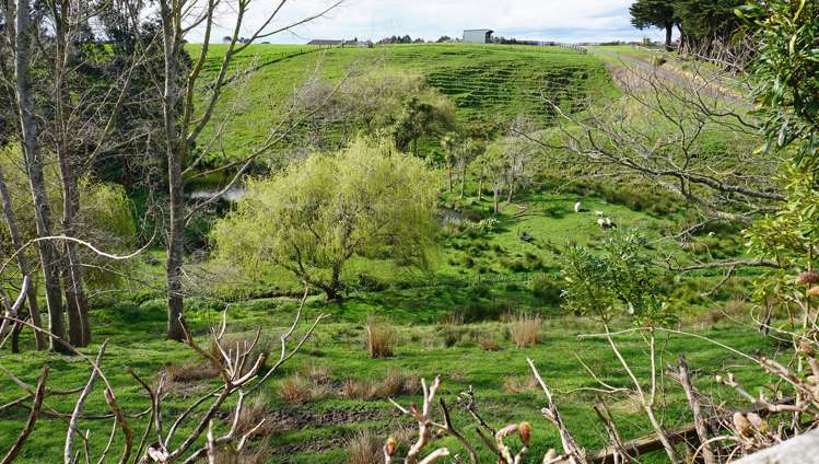 120 Heatherlea West Road Levin_21