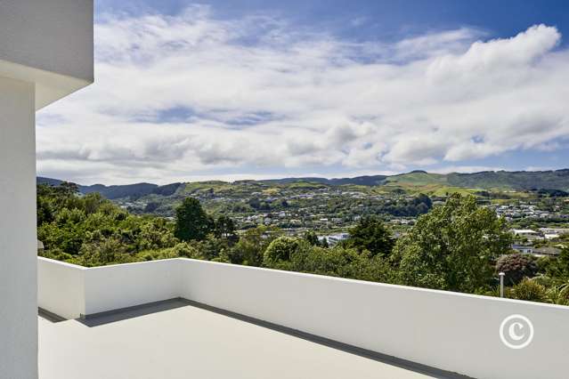 17 Olivia Crescent Tawa_1