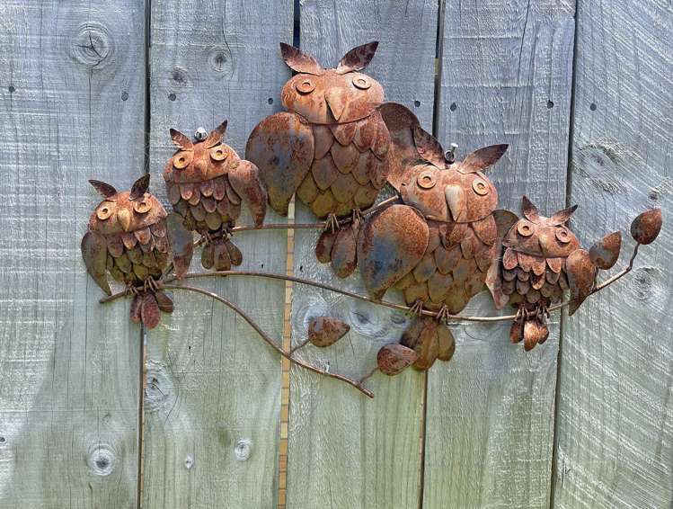 36 Plover Street One Tree Point_17