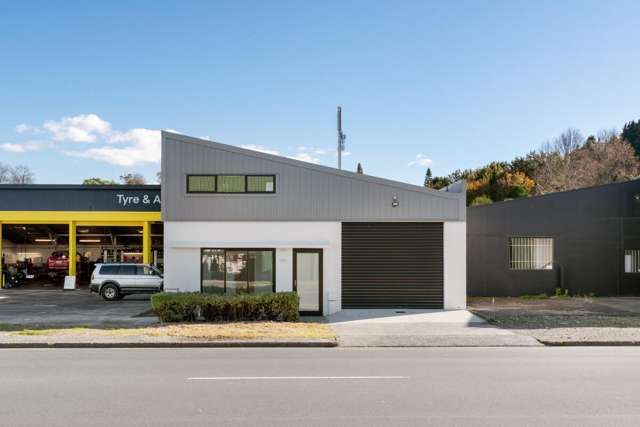 Unit 2, 17 Birch Avenue Judea_1