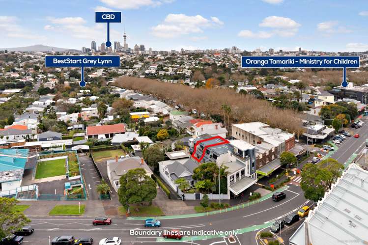 424D Richmond Road Grey Lynn_14