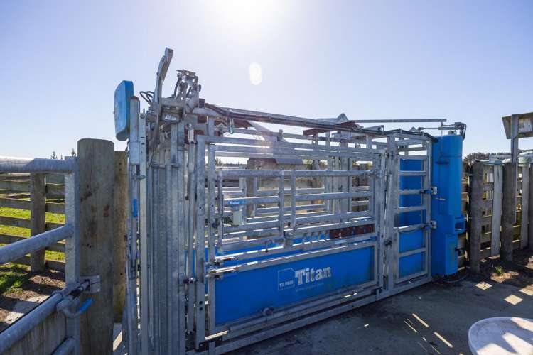 163 Downs Road Himatangi_6