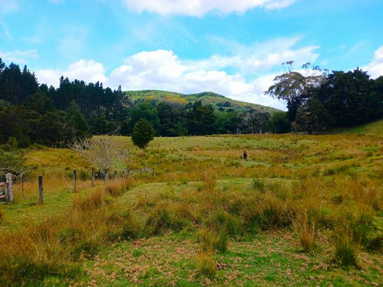 153 Champion Road Kaingaroa_18