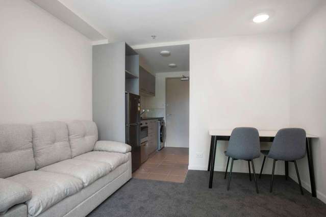 1013/135 Hobson Street Auckland Central_1