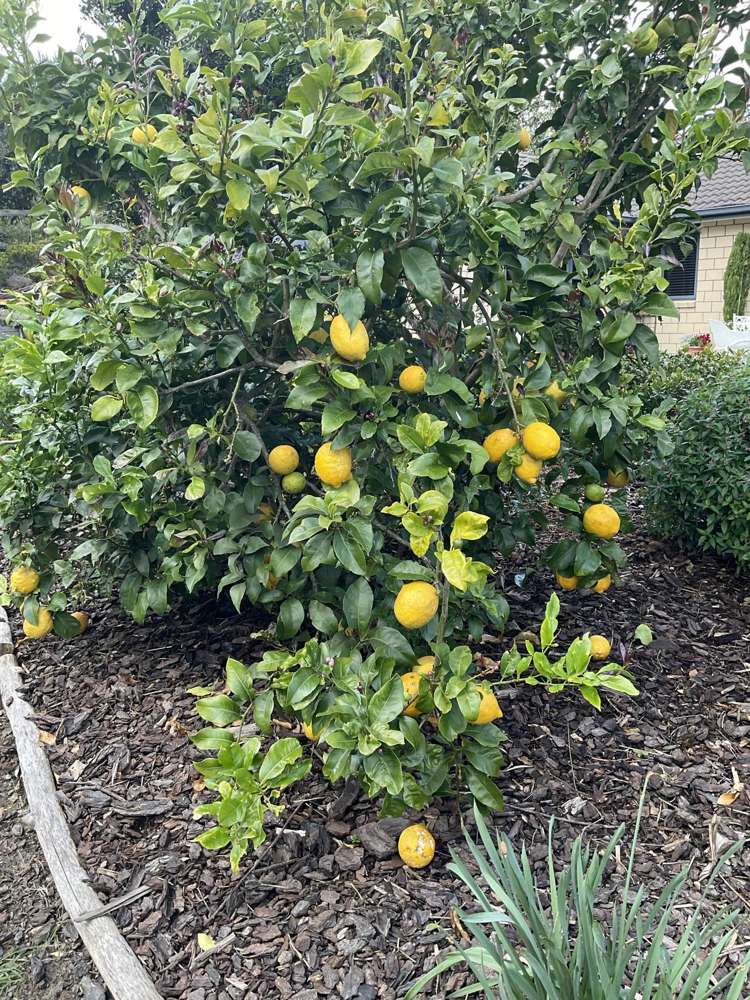 3 Seascape Crescent Waipu_23