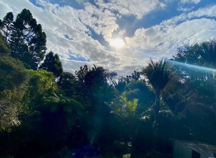 Address withheld Titirangi_8