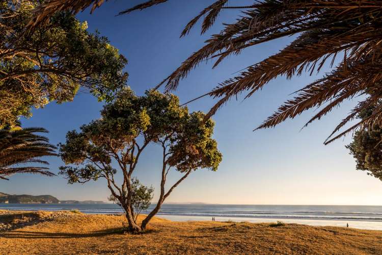 304/252 Centreway Road Orewa_21