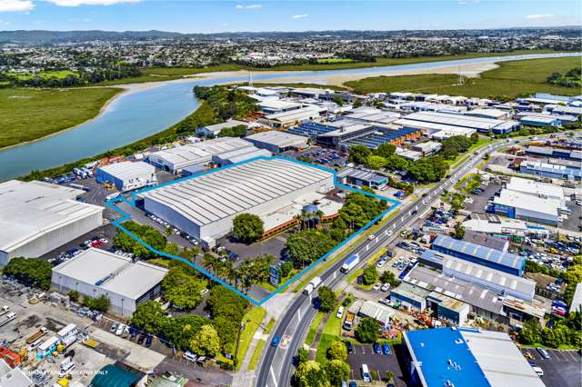 494 Rosebank Road Avondale_1