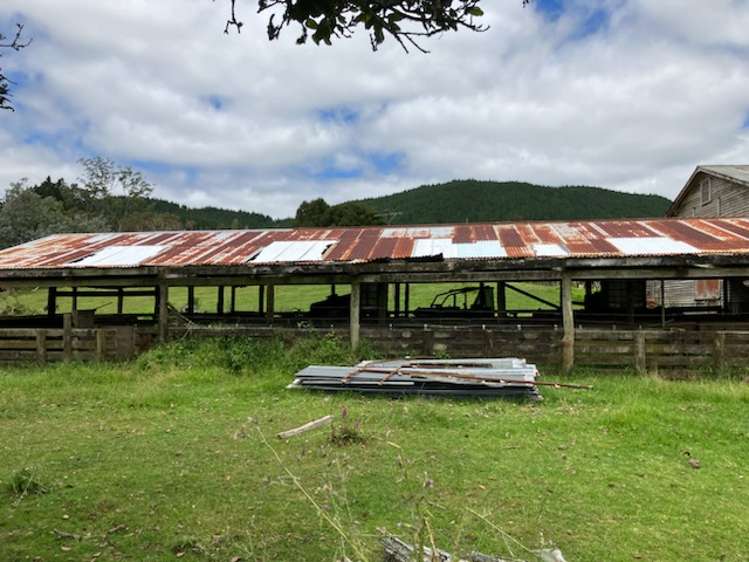 56 Ha Ha Road Pakotai_14