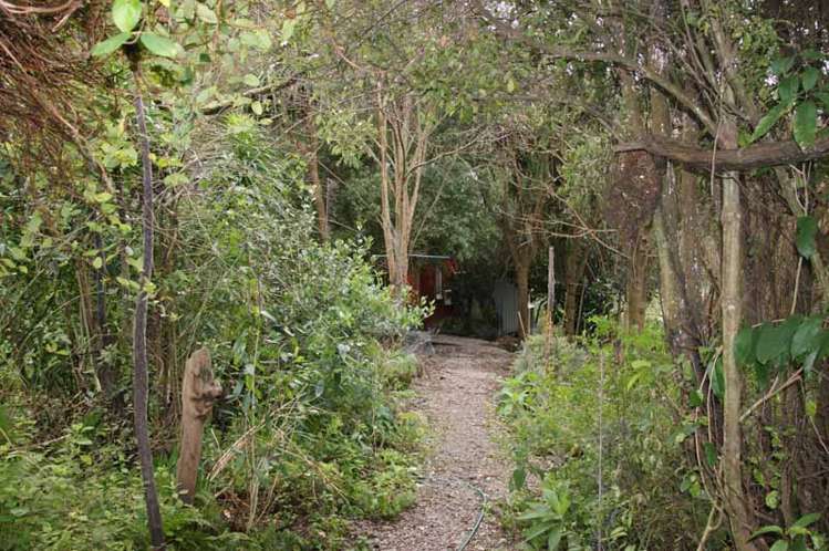 46 Morrisons Road Little River_22