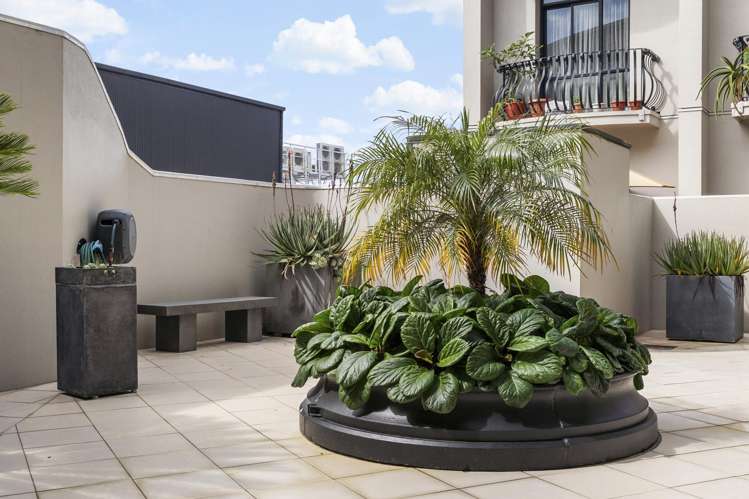 3B/6 Burgoyne Street_4