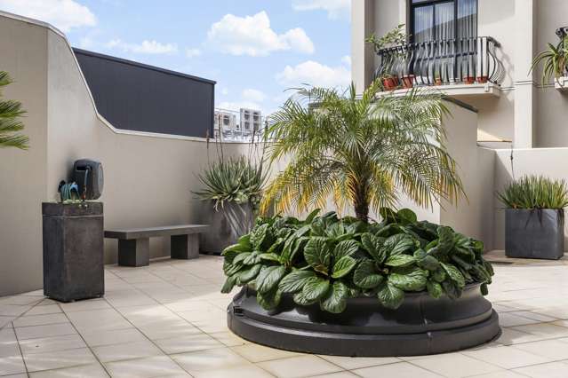 3A/6 Burgoyne Street Grey Lynn_4