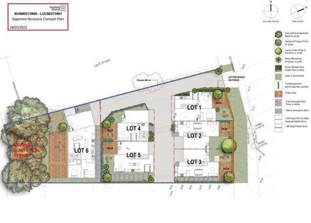 46 The Avenue Albany_4