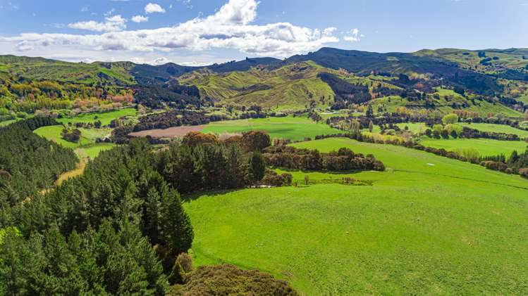 792 Clifton Grove Road Gladstone_16