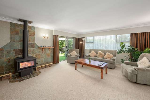 3 Tihi Road Springfield_1