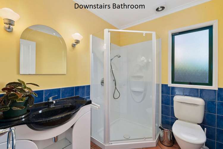 9 Forsyth Grove Brooklyn_11