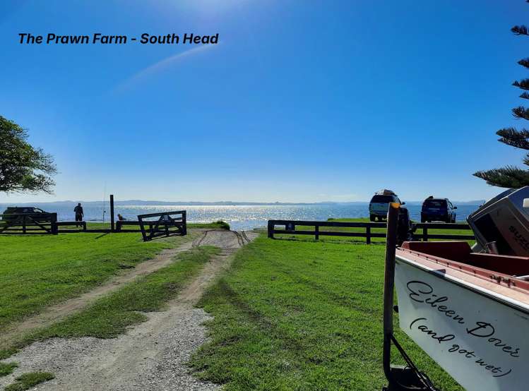 48 Omana Avenue Helensville_5