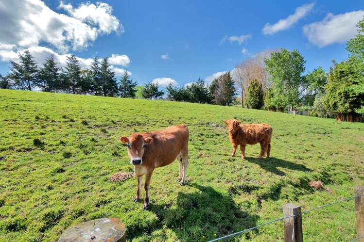 84 Streamlands Swamp Road Kaipara Flats_11