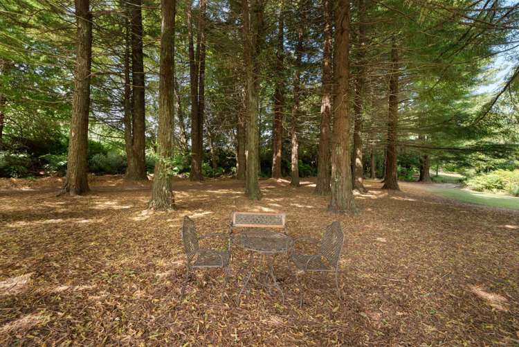 57 Armstrong Road Te Puna_22