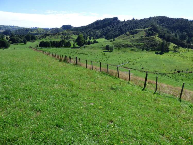836 Waitomo Valley Road Waitomo_12