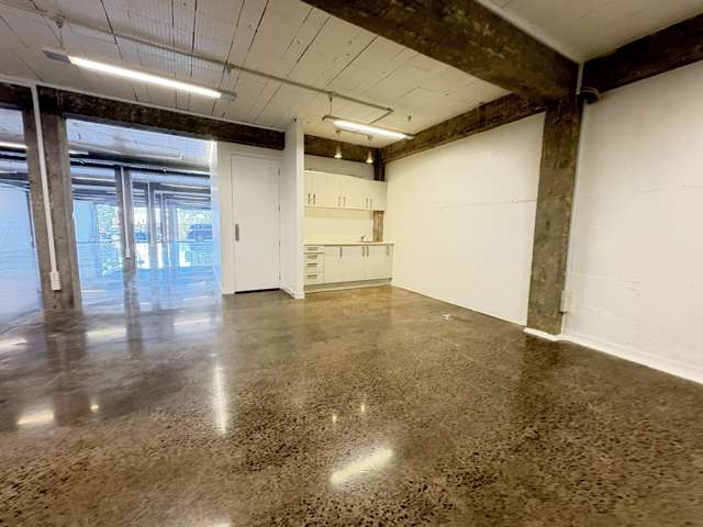 26 Monmouth Street Grey Lynn_4