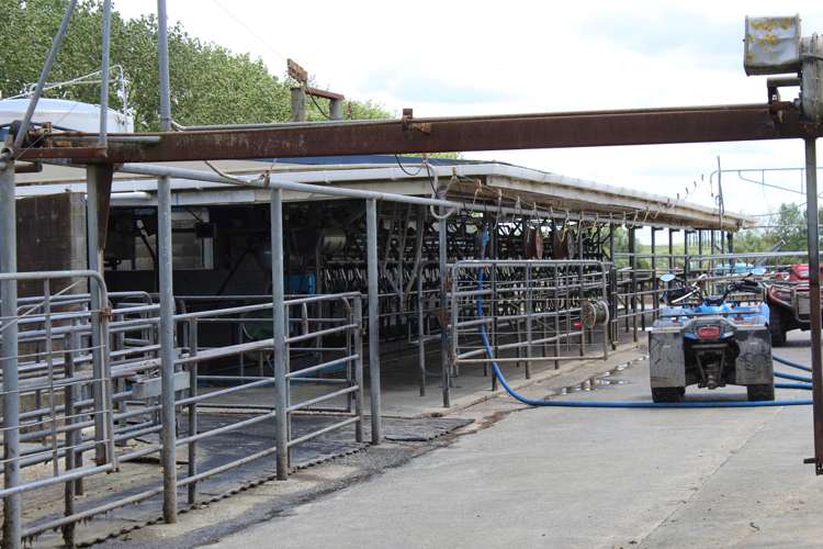 269 Kokopu Block Road Kokopu_5