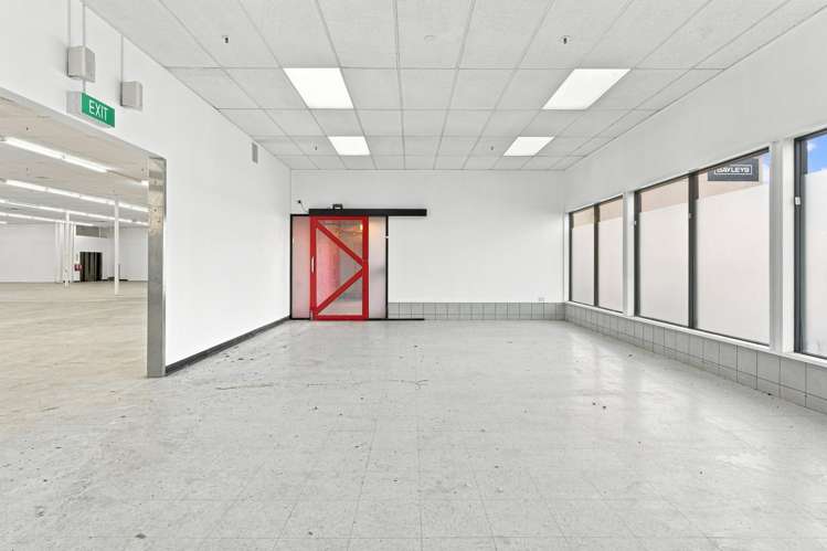 161 Gordon Road Dunedin Central_3