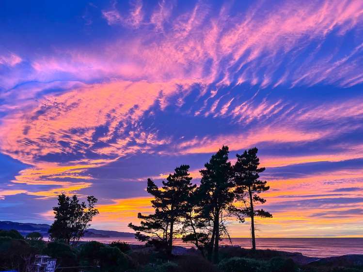 47 Chamberlain Avenue Amberley_7