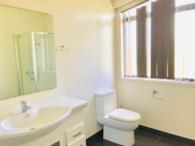 4 Domain Road Panmure_5