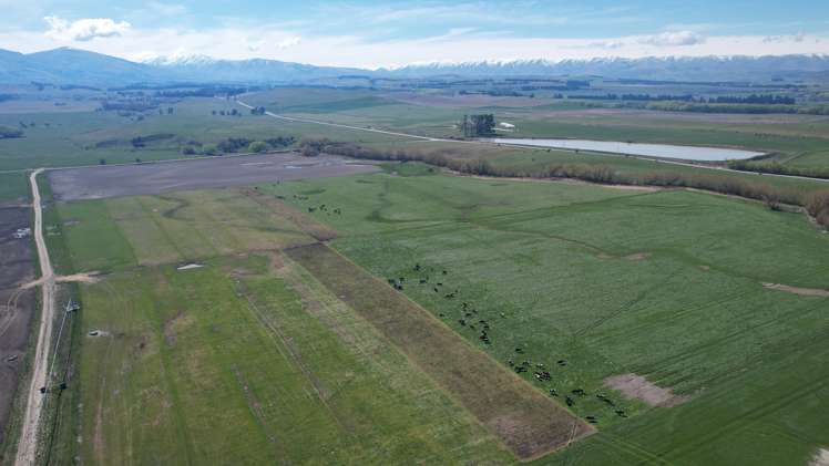 51 Saint Bathans Loop Road Becks_25